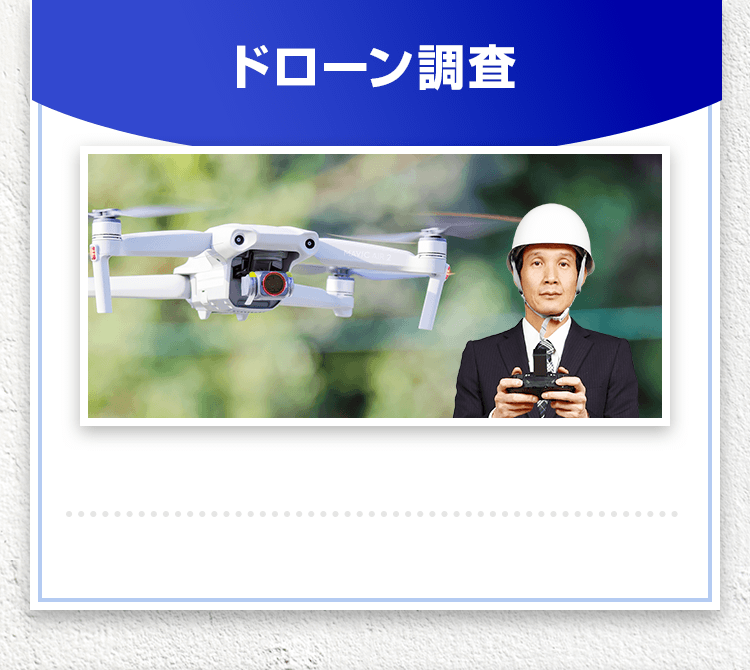 ドローン調査